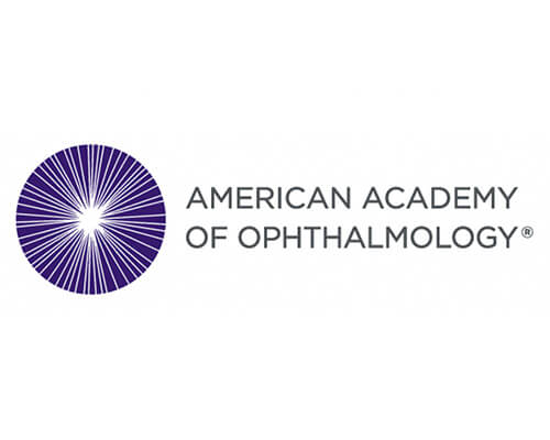 american-academy-500x400.jpg