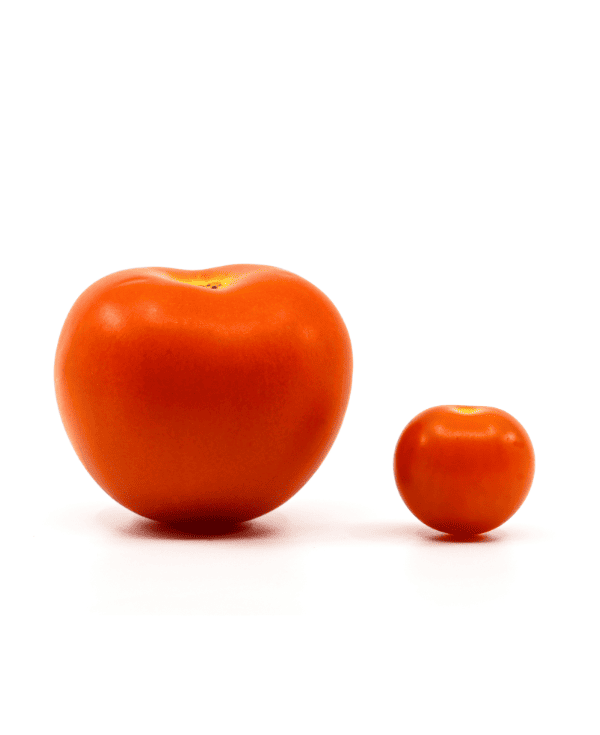 El tamaño de los objetos aparenta ser diferente en cada ojo