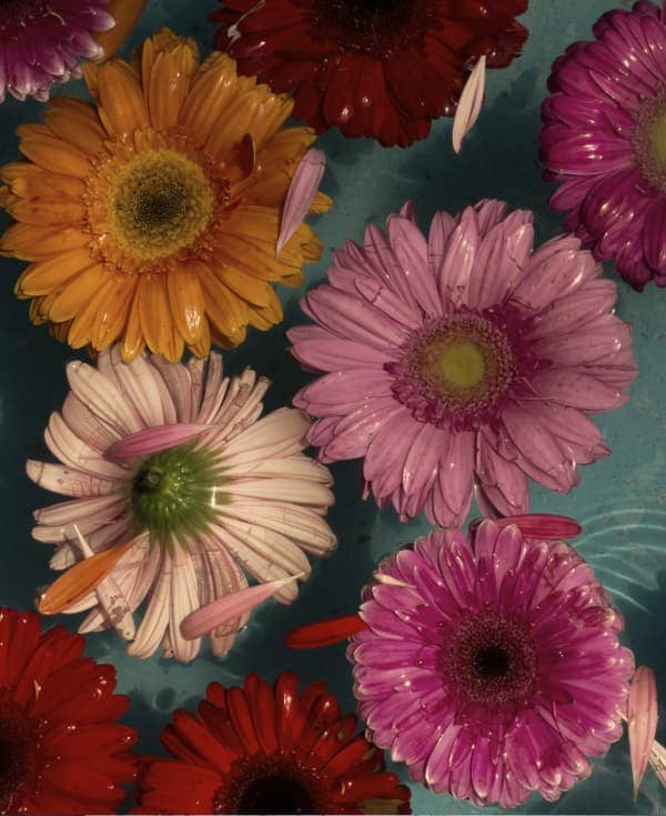 Los colores pierden su brillo